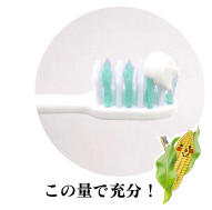 歯磨き粉の量