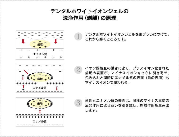 デンタルホワイトイオンジェルの洗浄作用(剥離)の原理