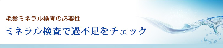 毛髪ミネラル検査の必要性,ミネラル検査で過不足をチェック