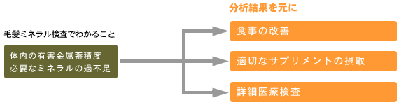 毛髪ミネラル検査の結果に基づいた対処イメージ