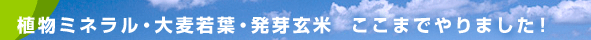 ��ʪ�ߥͥ�롦�������ա�ȯ�긼�ơ������ޤǤ��ޤ�����