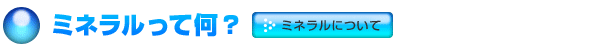 ミネラルって何