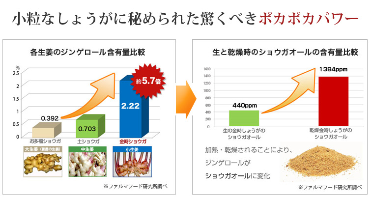 ショウガオールが多いことが重要