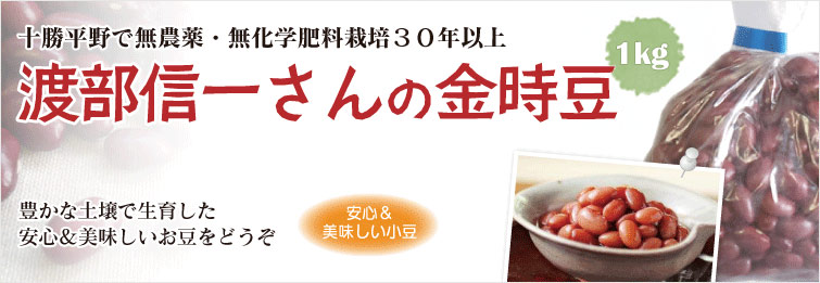 十勝平野で無農薬・無化学肥料栽培30年以上 渡部信一さんの金時豆