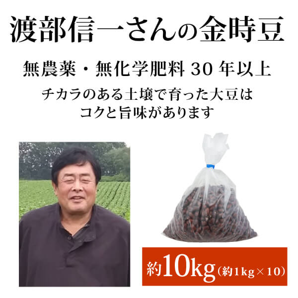 十勝平野で無農薬・無化学肥料栽培30年以上 渡部信一さんの金時豆