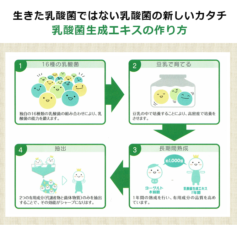 生きた乳酸菌ではない乳酸菌の新しいカタチ
乳酸菌生成エキスの作り方