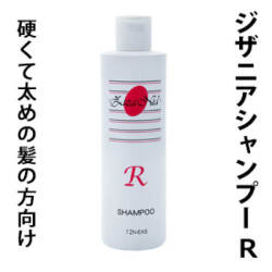 �����˥�R
