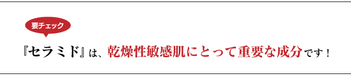 『セラミド』は乾燥性敏感肌にとって重要な成分です