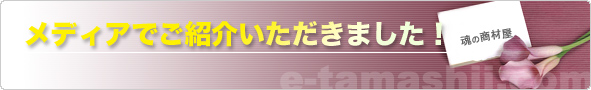 ��ǥ����Ǥ��Ҳ𤤤������ޤ����� 
