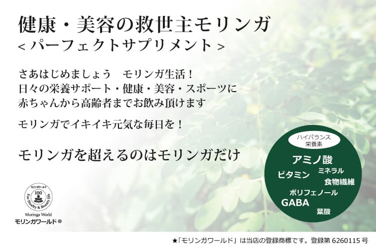 モリンガと