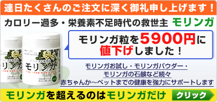 �򹯤ε����硪��Ｑ�ʥߥͥ�롦�ӥ��ߥ󡦥��ߥλ���������ʴ�ˤ��餱��ʡ�