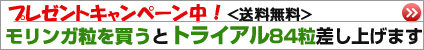 �������K�i�v���[���g�L�����y�[�����j 
