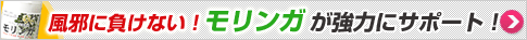 ���٤��餱�ʤ��� ���󥬤����Ϥ˥��ݡ��ȡ�