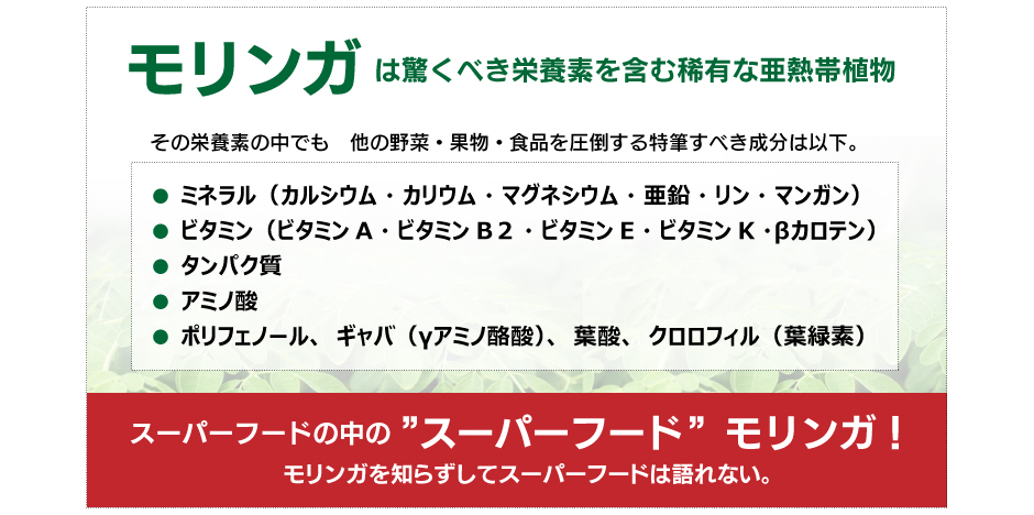 モリンガは驚くべき栄養素を含む稀有な亜熱帯植物