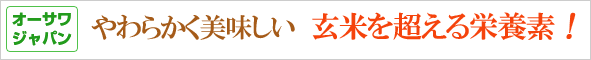 そのまま入れてやわらかく美味しい 玄米を超える栄養素!