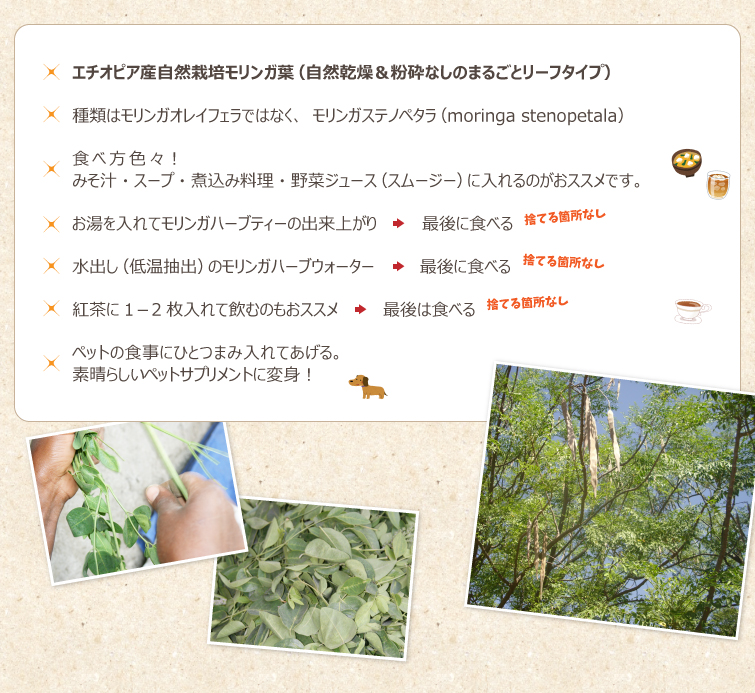 ◆エチオピア産自然栽培モリンガ葉(自然乾燥&粉砕なしのまるごとリーフタイプ)
◆種類はモリンガオレイフェラではなく、モリンガステノペタラ(moringa stenopetala)
◆食べ方色々。みそ汁・スープ・煮込み料理・野菜ジュース(スムージー)に入れるのがおススメです。
◆お湯を入れてモリンガハーブティーの出来上がり⇒最後に食べる 。捨てる箇所なし。
◆水出し(低温抽出)のモリンガハーブウォーター⇒最後に食べる。捨てる箇所なし。
◆紅茶に1-2枚入れて飲むのもおススメ⇒最後は食べる。 捨てる箇所なし。
◆ペットの食事にひとつまみ入れてあげる。素晴らしいペットサプリメントに変身!
