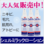 �͵����ʤ��޾徺�桪�˥��ӡ������ߡ�ȩ�Ӥ졦���ȥԡ��� ������ߥ�å����������