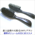 ���ӡ����ӥإ����֥饷��6�Կ�����