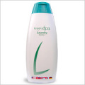 �����������ѥߥͥ����ɥ꡼�����å����300ml��[�����ֹ桧ka1092]