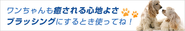 ワンちゃんも癒される心地よさ ブラッシングにするとき使ってね!
