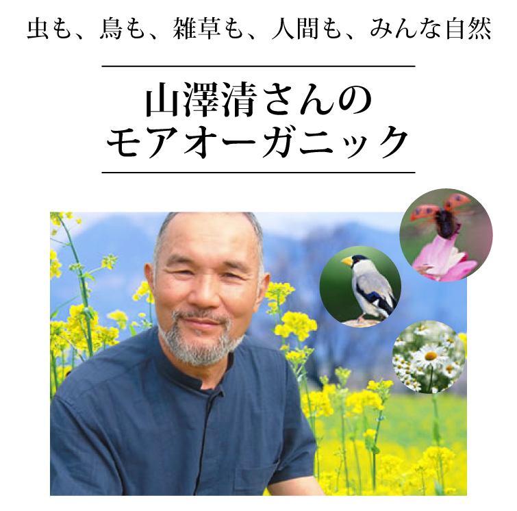 山澤清の香草石鹸白樺樹液練り（ローズマリー） モアオーガニック