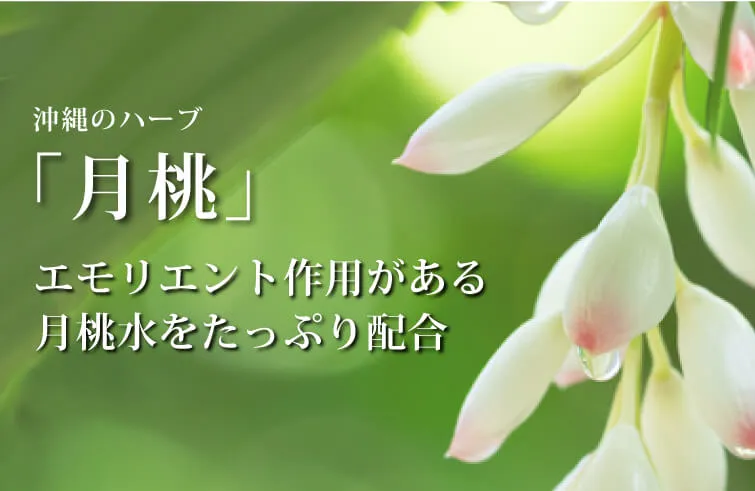 アルピニエッセンスクリーム50g　沖縄のハーブ「月桃」＋「植物パワー」で
潤い・ハリ・弾力のある柔らかな肌へ 