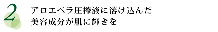 アロエベラ生葉に溶け込んだ美容成分が肌に輝きを