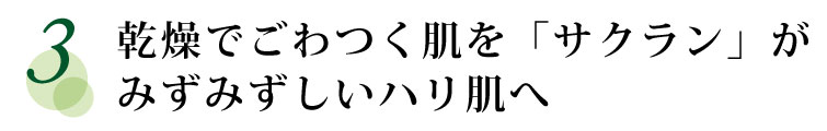 乾燥でごわつく肌を「サクラン」がみずみずしいハリ肌へ