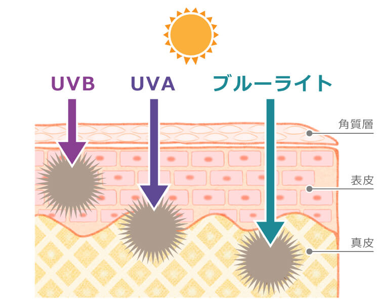 ピュアポタッシュ　ノンナノUVミルク3　UVA　UVB　ブルーライト