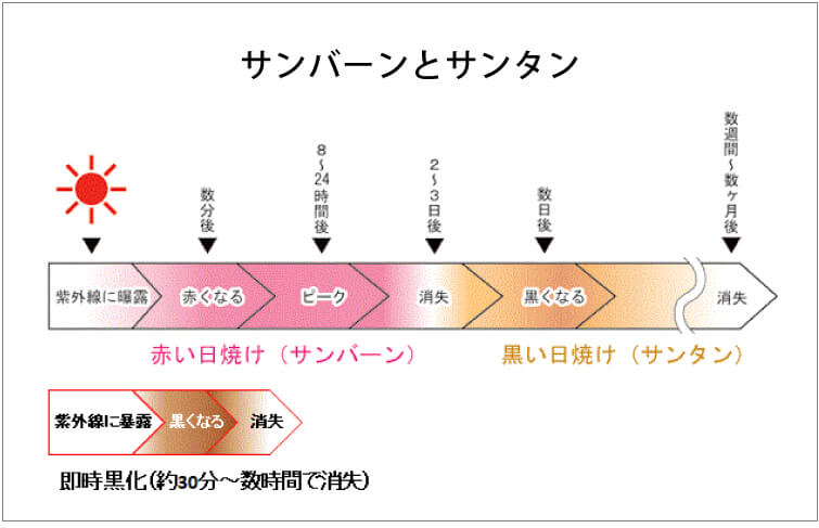 ピュアポタッシュ　ノンナノUVミルク3　サンバーンとサンタン