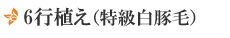 6行植え(特級白豚毛)