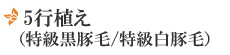 5行植え(特級黒豚毛/特級白豚毛)