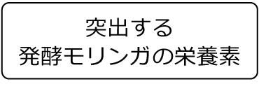 突出する発酵モリンガの栄養素