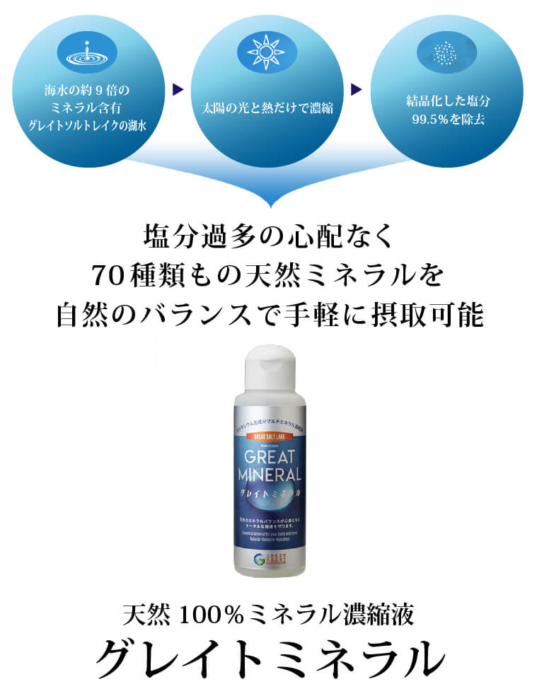 グレイトミネラル100ml×3本 塩水湖水マルチミネラル濃縮液