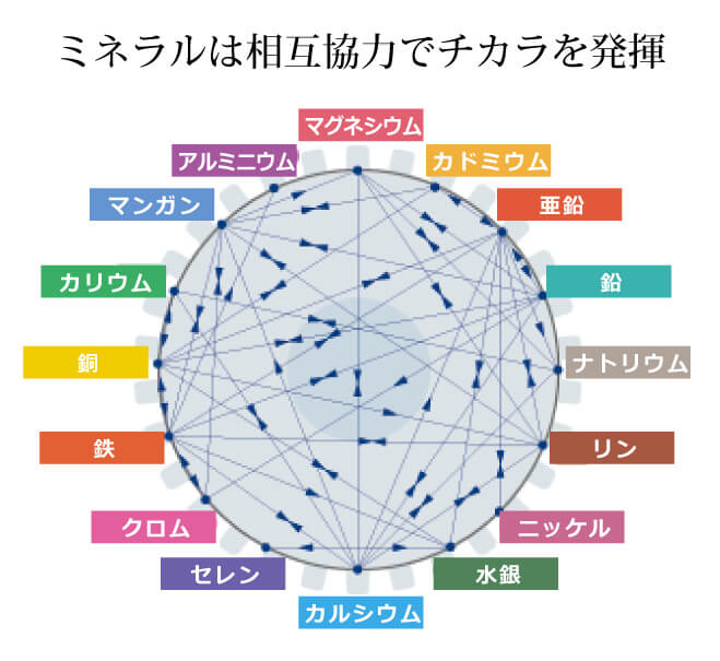 ミネラル協力関係図