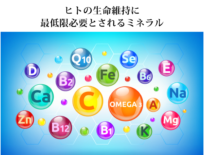 ヒトの生命維持に
最低限必要とされるミネラル