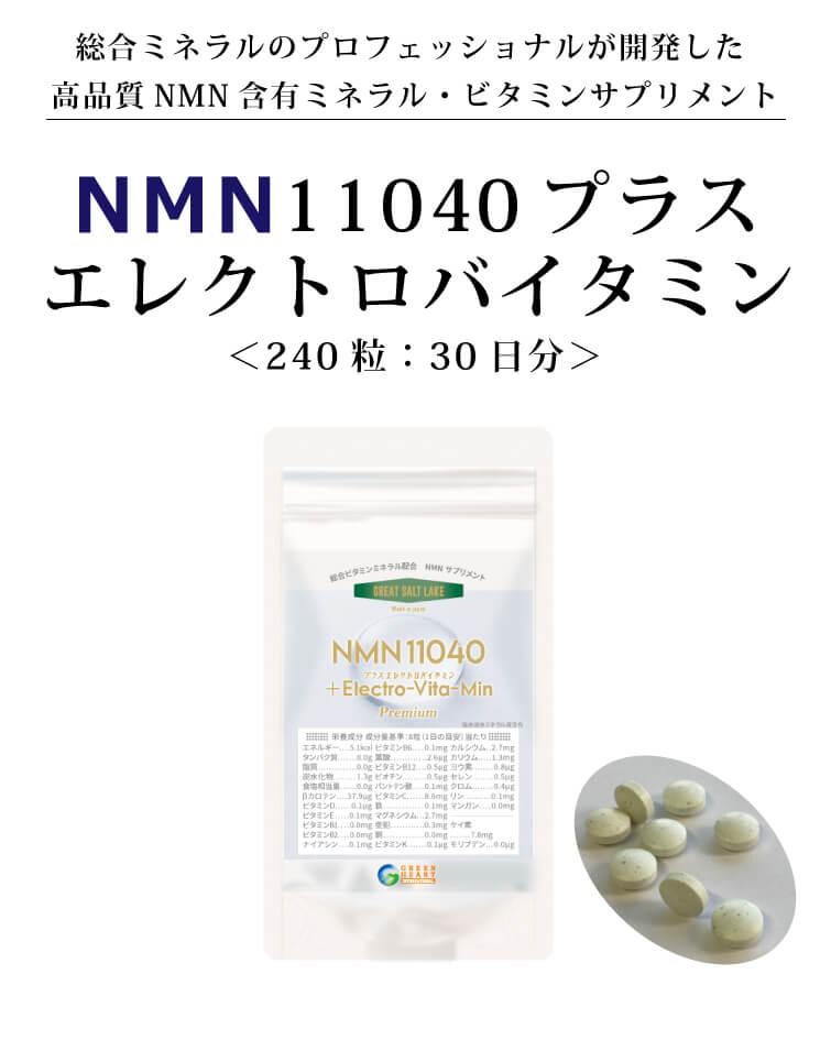 NMN11040 プラス エレクトロバイタミン
