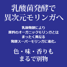 オーガニック発酵スーパーモリンガ 乳酸菌発酵で異次元モリンガへ