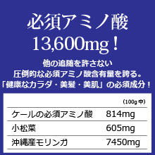 オーガニック発酵スーパーモリンガ 必須アミノ酸13,600mg！