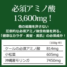 オーガニック発酵スーパーモリンガ 必須アミノ酸13,600mg！