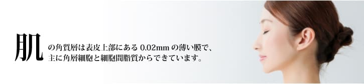 オーガニック発酵スーパーモリンガ 
