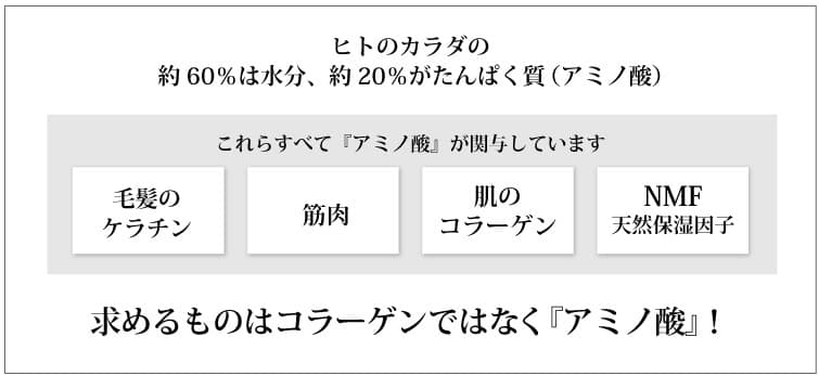 オーガニック発酵スーパーモリンガ 求めるものはコラーゲンではなくアミノ酸！