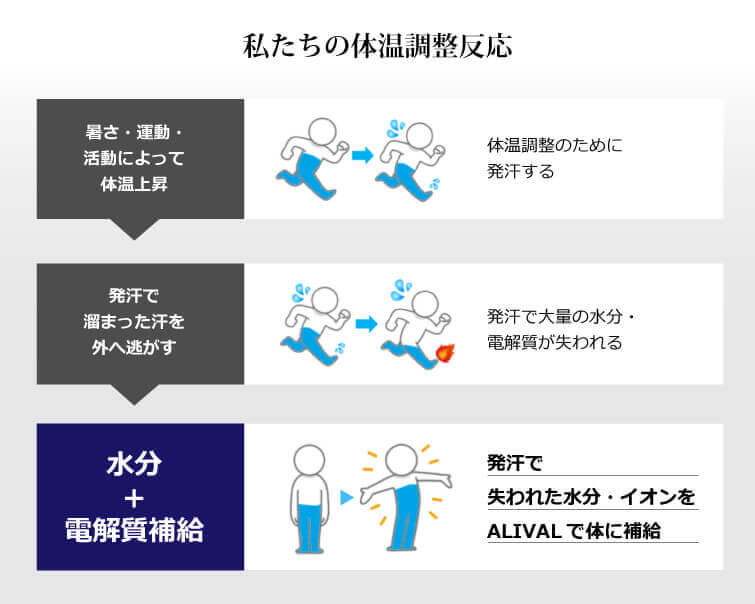 私たちの体温調整反応