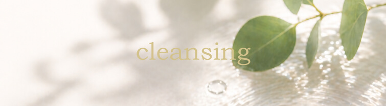 カテゴリ：クレンジング