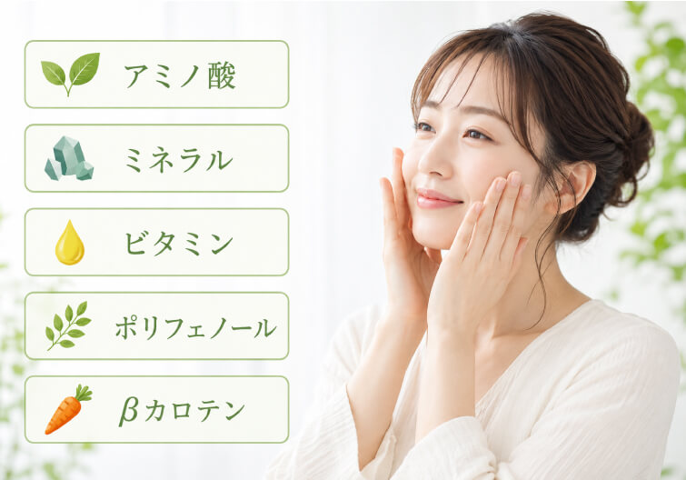 モリンガブライト化粧品