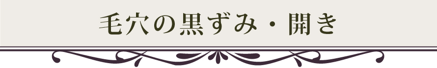 毛穴の黒ずみ・開き