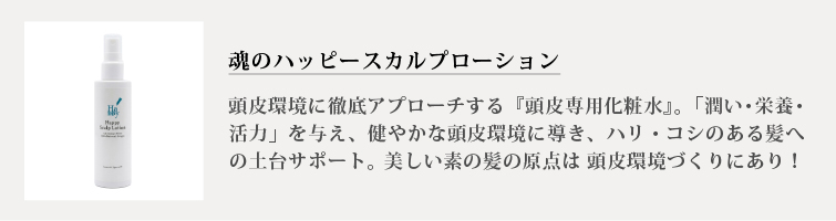 魂のハッピースカルプローション（無香料）