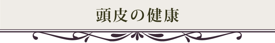 頭皮の健康