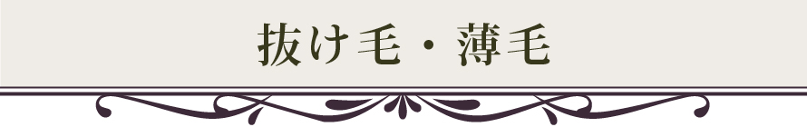 抜け毛・薄毛