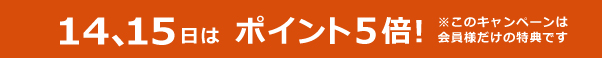 ポイント5倍